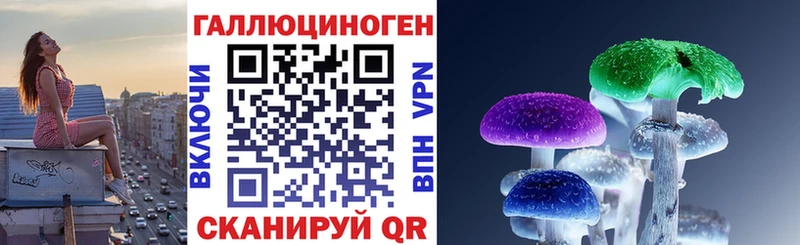 Купить закладки  Новоалександровск  Псилоцибиновые грибы ЛСД 